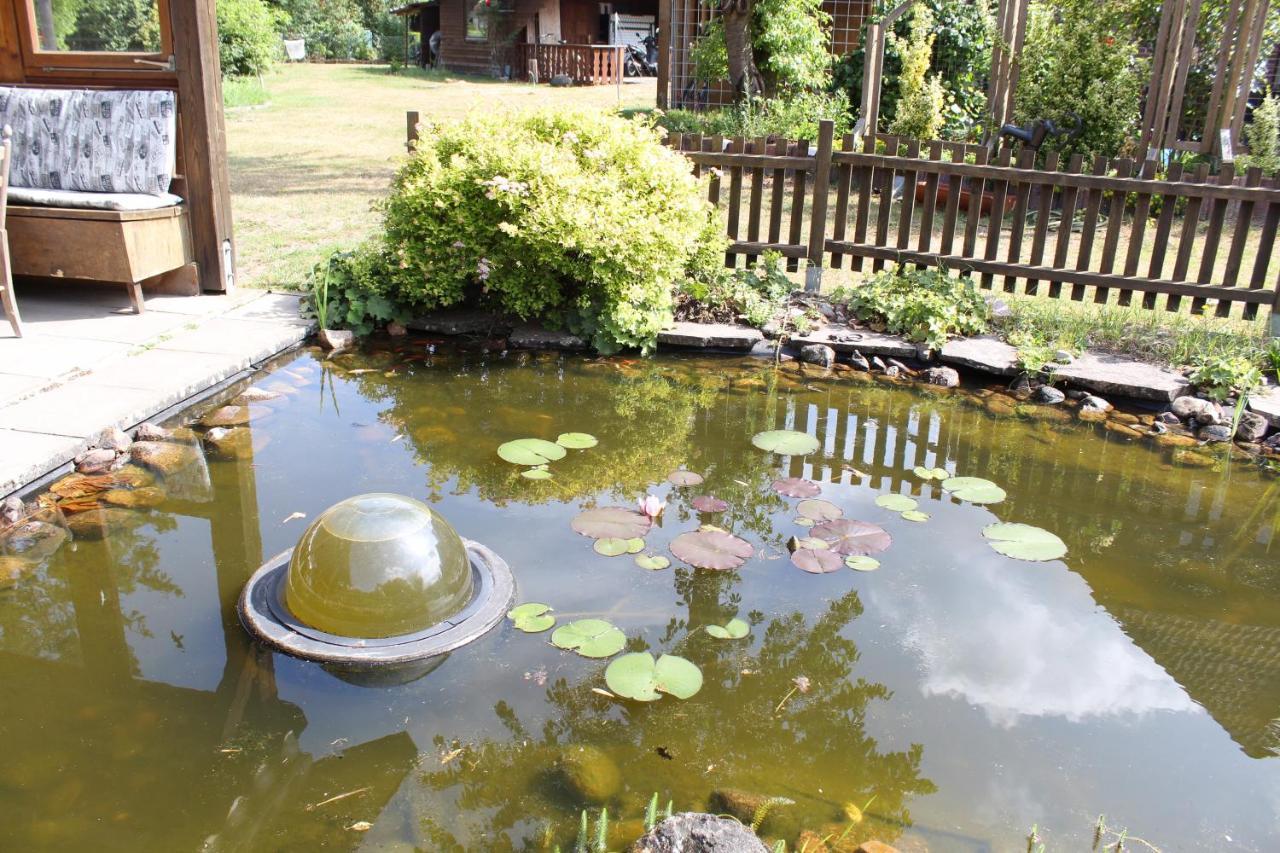 Gepetto Ferienhaus Wissenbach Hademstorf Buitenkant foto
